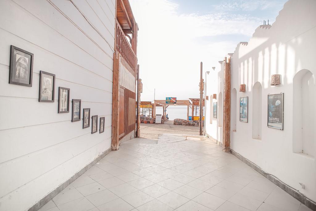 Dahab Divers Bagian luar foto