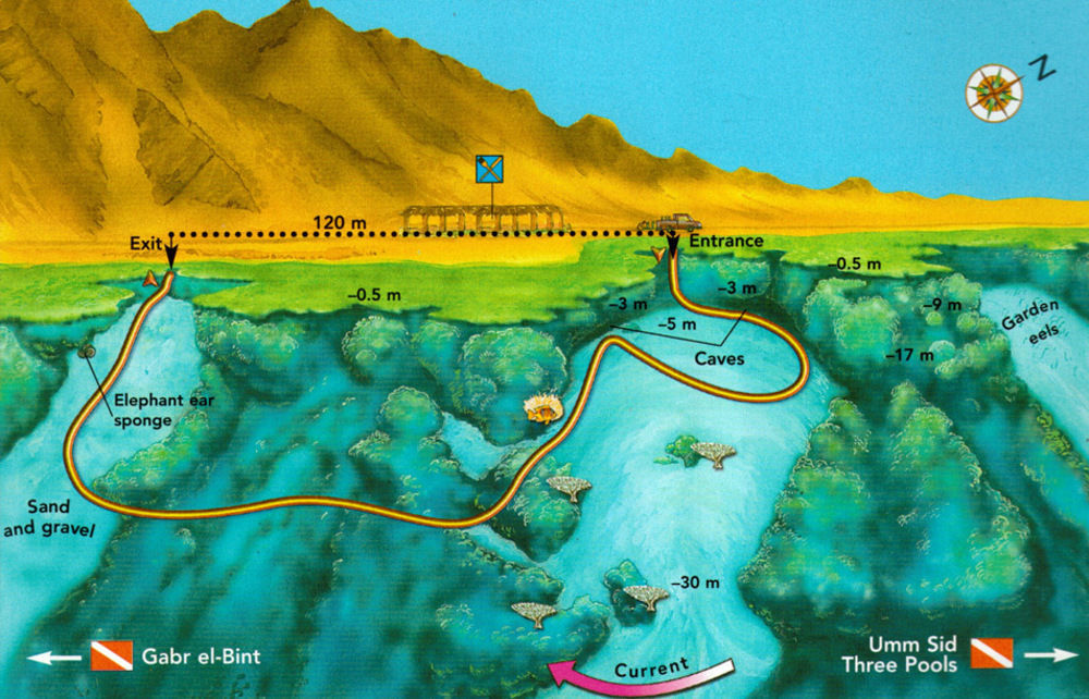 Dahab Divers Bagian luar foto