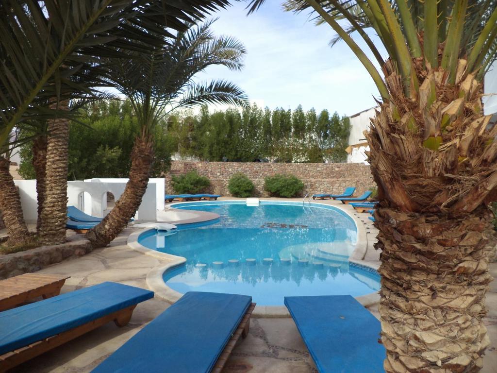 Dahab Divers Bagian luar foto