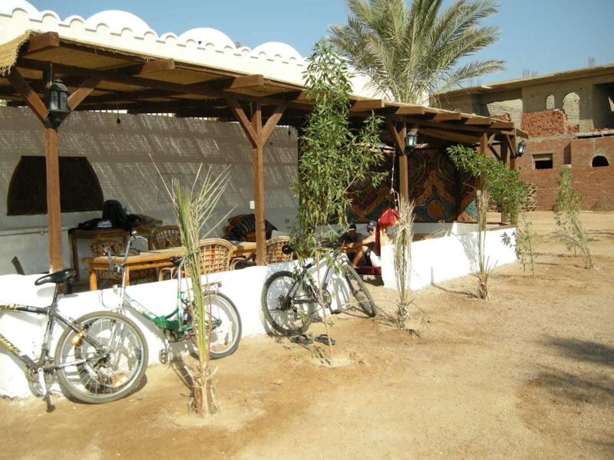 Dahab Divers Bagian luar foto