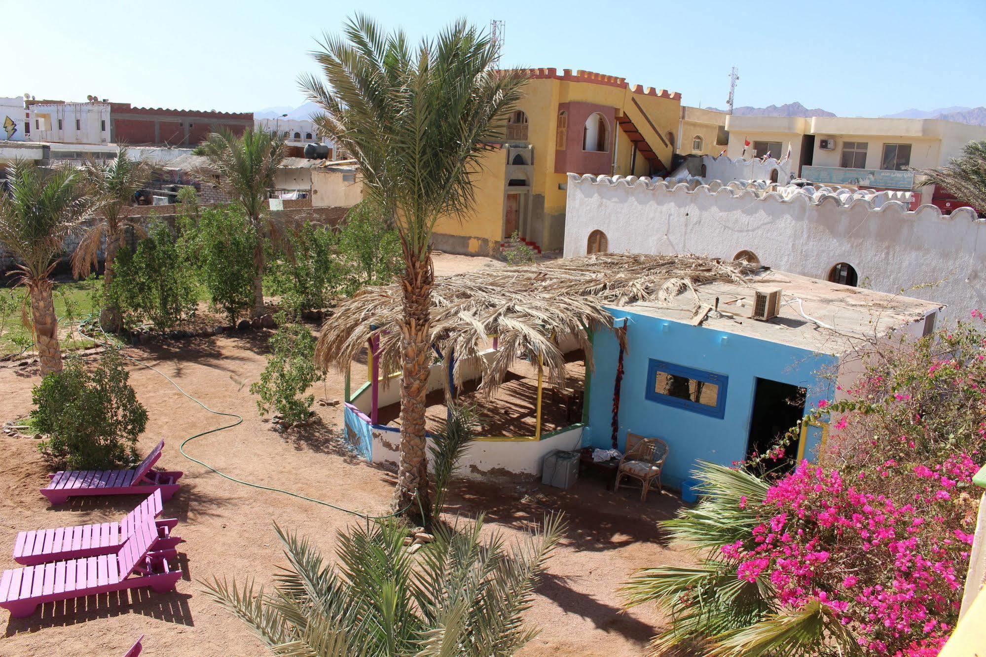 Dahab Divers Bagian luar foto
