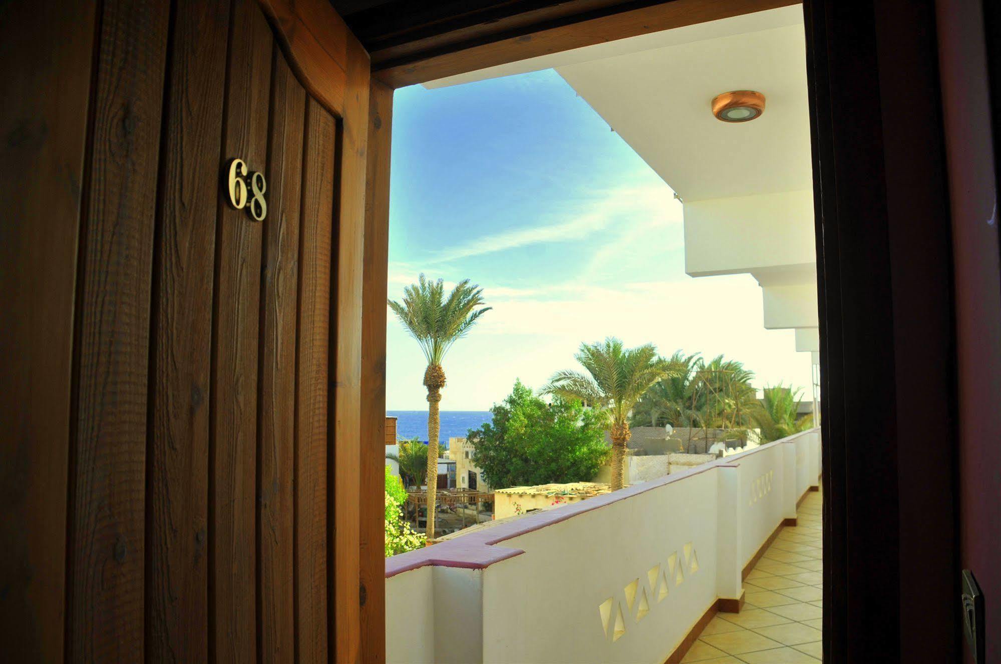 Dahab Divers Bagian luar foto