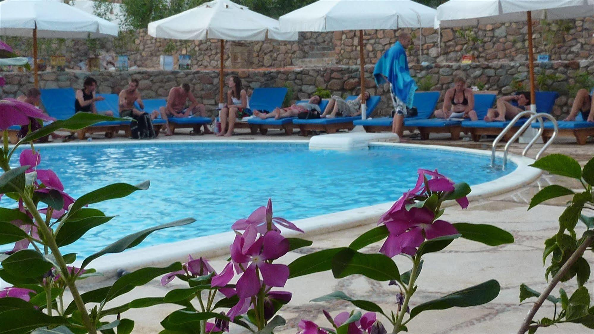 Dahab Divers Bagian luar foto