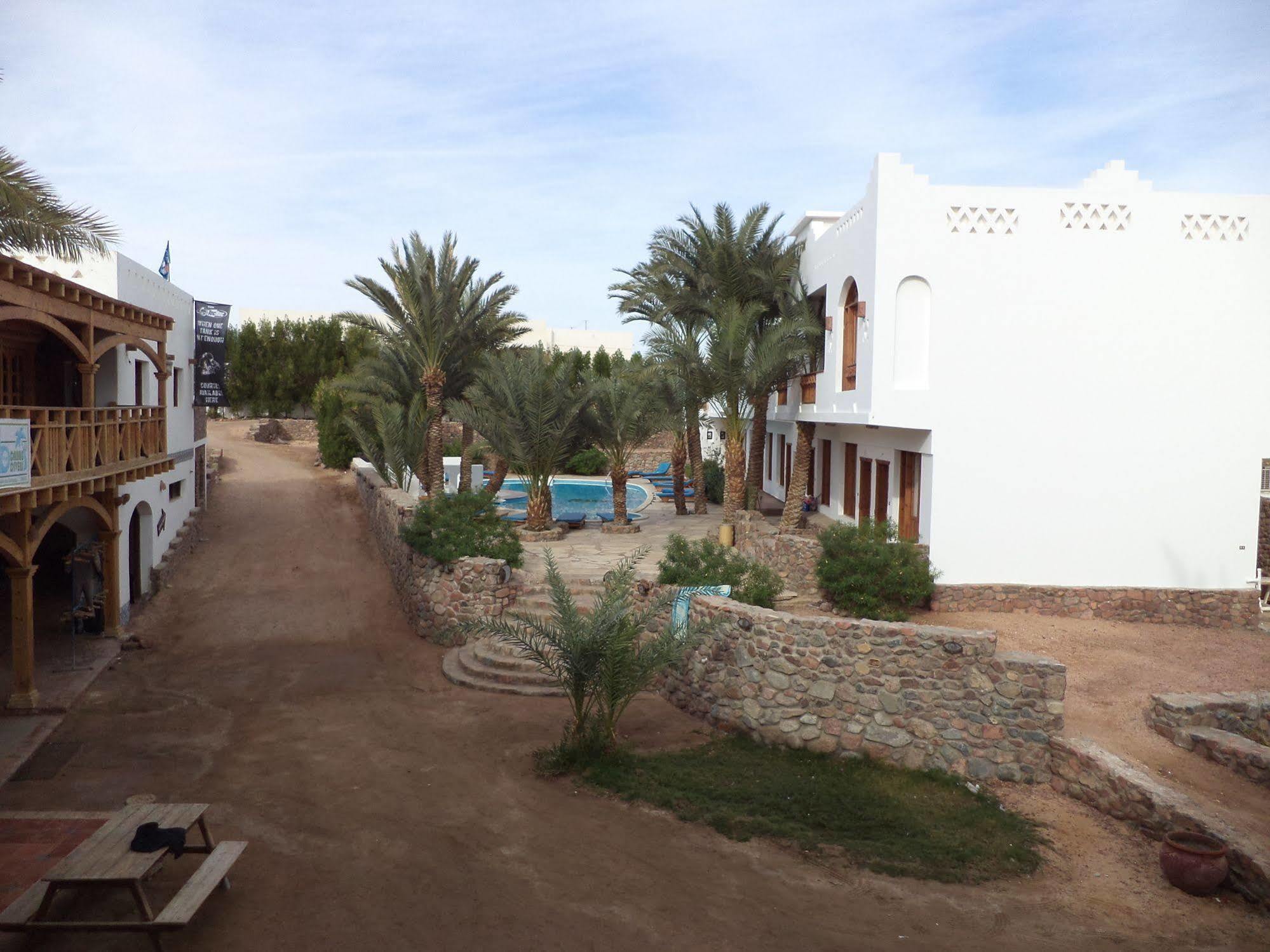 Dahab Divers Bagian luar foto